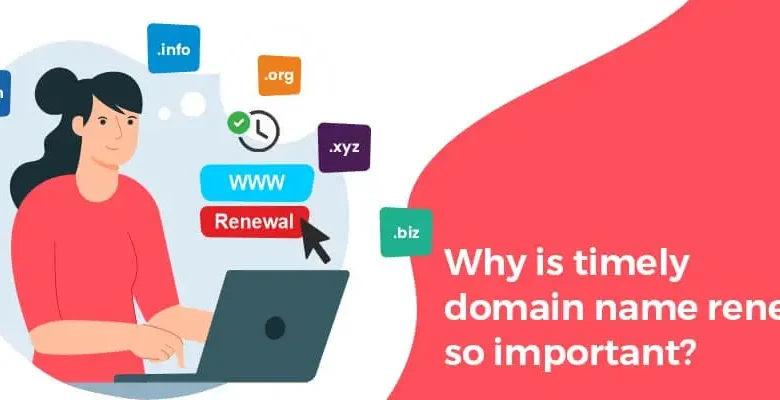 Why is timely domain name renewal so important?